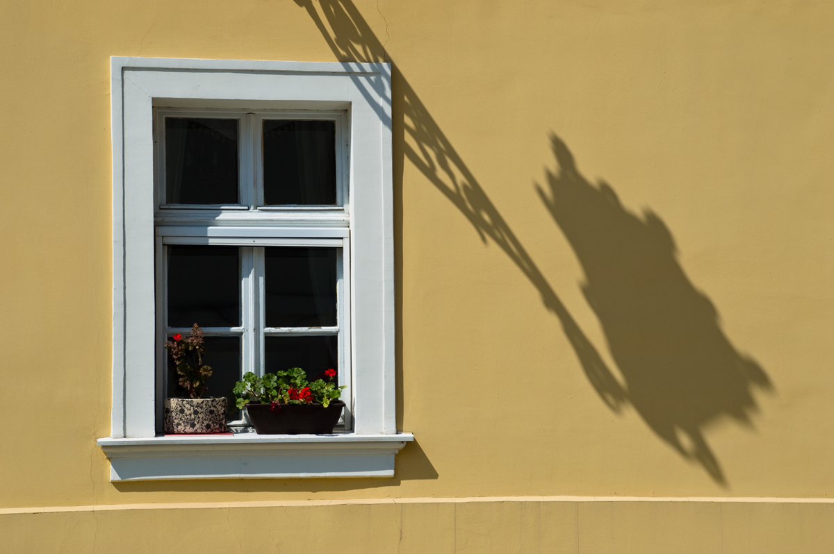 Window with light post shadow